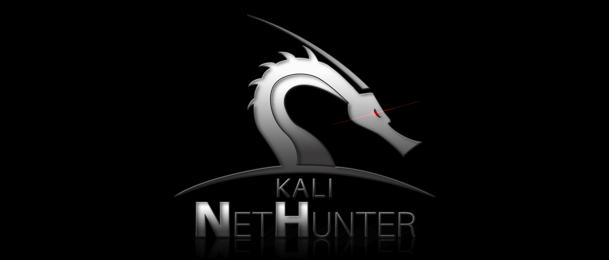 Кали нетхантер. Kali Linux Nethunter. Kali Linux рабочий стол.